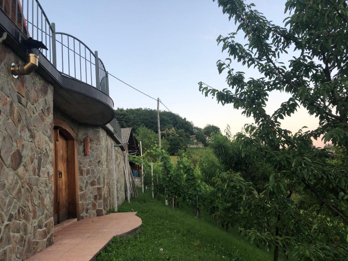 Vineyard Cottage Janko & Metka Otocec Exterior photo